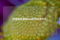 抖音粉丝涨到1000后可以干什么?