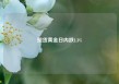 现货黄金日内跌1.3%
