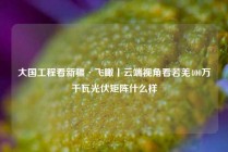 大国工程看新疆·飞瞰丨云端视角看若羌400万千瓦光伏矩阵什么样