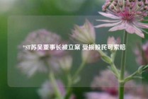 *ST苏吴董事长被立案 受损股民可索赔