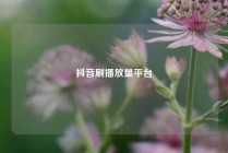 抖音刷播放量平台