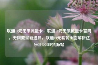 联通19元无限流量卡，联通19元无限流量卡官网，无限流量新选择，联通19元套餐全面解析亿乐社区SUP货源站