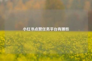 小红书点赞任务平台有哪些