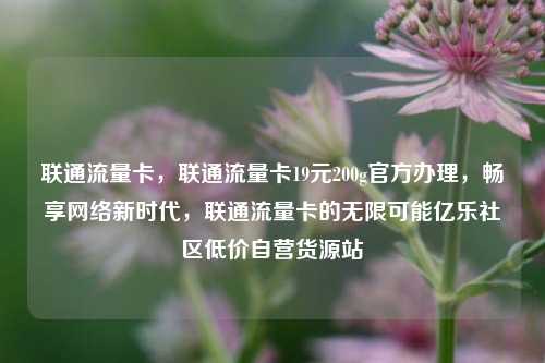 联通流量卡，联通流量卡19元200g官方办理	，畅享网络新时代，联通流量卡的无限可能亿乐社区低价自营货源站  第1张