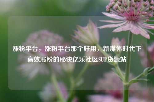 涨粉平台，涨粉平台那个好用	，新媒体时代下高效涨粉的秘诀亿乐社区SUP货源站  第1张