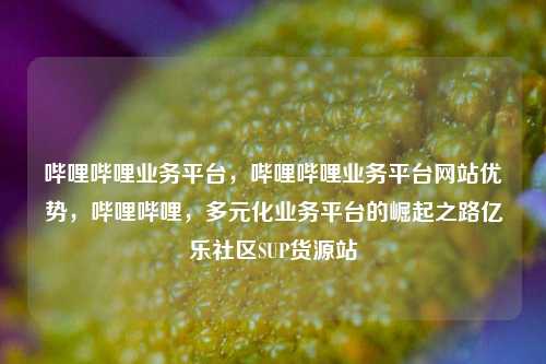 哔哩哔哩业务平台,哔哩哔哩业务平台网站优势,哔哩哔哩,多元化业务平台的崛起之路亿乐社区SUP货源站  第1张 哔哩哔哩业务平台,哔哩哔哩业务平台网站优势,哔哩哔哩,多元化业务平台的崛起之路亿乐社区SUP货源站  第1张