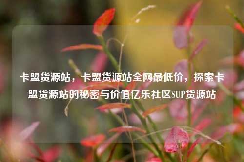 卡盟货源站，卡盟货源站全网最低价	，探索卡盟货源站的秘密与价值亿乐社区SUP货源站  第1张
