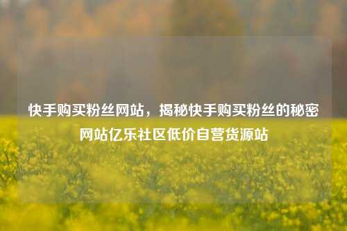 快手购买粉丝网站，揭秘快手购买粉丝的秘密网站亿乐社区低价自营货源站  第1张