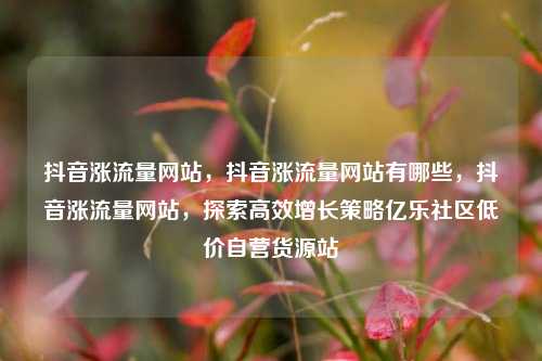 抖音涨流量网站，抖音涨流量网站有哪些，抖音涨流量网站，探索高效增长策略亿乐社区低价自营货源站  第1张