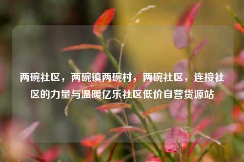 两碗社区，两碗镇两碗村，两碗社区，连接社区的力量与温暖亿乐社区低价自营货源站  第1张
