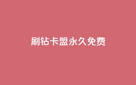 qq刷钻卡盟永久免费,全网自助下单最便宜 - KS业务下单平台秒到 抖音24小时在线下单平台免费  第1张