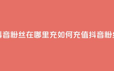 抖音粉丝在哪里充(如何充值抖音粉丝?) 第1张 抖音粉丝在哪里充(如何充值抖音粉丝?) 第1张