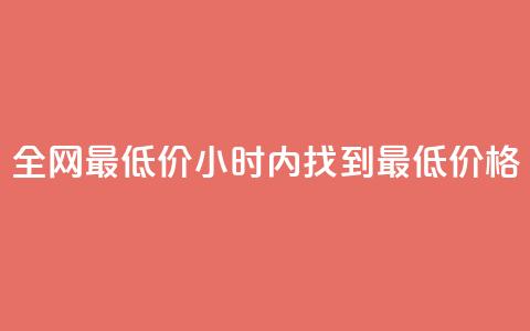 全网最低价：24小时内找到最低价格  第1张