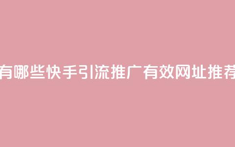 快手推广引流网址有哪些 - 快手引流推广有效网址推荐及使用攻略~  第1张