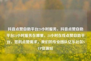 抖音点赞自助平台24小时服务，抖音点赞自助平台24小时服务在哪里，24小时在线点赞自助平台，您的点赞需求，我们的专业团队亿乐社区SUP货源站