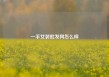 一手女装批发网怎么样