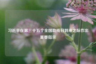 习近平在第三十五个全国助残日到来之际作出重要指示