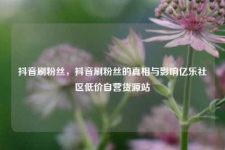抖音刷粉丝，抖音刷粉丝的真相与影响亿乐社区低价自营货源站