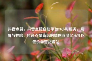 抖音点赞，抖音点赞自助平台24小时服务，刷屏与共鸣，抖音点赞背后的情感涟漪亿乐社区低价自营货源站