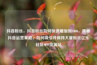 抖音粉丝，抖音粉丝如何快速增加到1000，揭秘抖音运营策略，如何吸引并保持大量粉丝亿乐社区SUP货源站