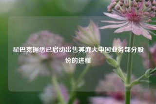 星巴克据悉已启动出售其庞大中国业务部分股份的进程