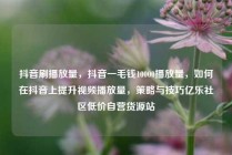 抖音刷播放量，抖音一毛钱10000播放量，如何在抖音上提升视频播放量，策略与技巧亿乐社区低价自营货源站