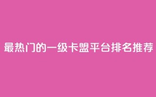 最热门的一级卡盟平台排名推荐