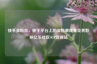 快手买粉丝，快手平台上的买粉潮现象及其影响亿乐社区SUP货源站