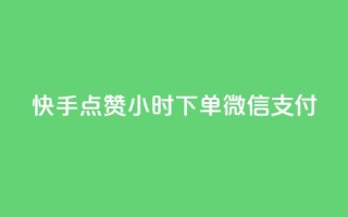 快手点赞24小时下单微信支付,快手0元付怎么不能用了 - 网红商店24小时自助购买 - 抖音怎样运营推广