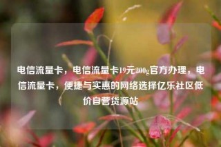 电信流量卡，电信流量卡19元200g官方办理，电信流量卡，便捷与实惠的网络选择亿乐社区低价自营货源站