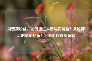 抖音买粉丝，如何通过抖音购买粉丝？揭秘背后的秘密亿乐社区低价自营货源站