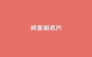 梓豪刷名片,dy粉丝低价卡盟 - 抖音作品点赞秒单 - 快手全网最低价下单平台