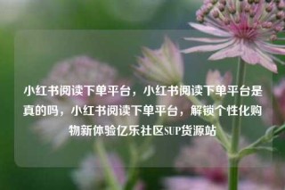 小红书阅读下单平台，小红书阅读下单平台是真的吗，小红书阅读下单平台，解锁个性化购物新体验亿乐社区SUP货源站