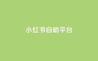 小红书24自助平台,抖音点赞24小时在线超低价 - 可以加微信的帅哥 - 回森24小时自助下单