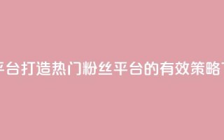 粉丝平台 - 打造热门粉丝平台的有效策略~
