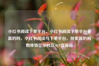 小红书阅读下单平台，小红书阅读下单平台是真的吗，小红书阅读与下单平台，探索新的购物体验亿乐社区SUP货源站