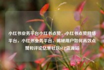 小红书业务平台小红书点赞，小红书点赞网络平台，小红书业务平台，揭秘用户如何高效点赞和评论亿乐社区SUP货源站