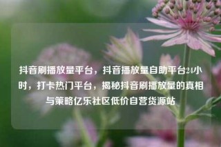 抖音刷播放量平台，抖音播放量自助平台24小时，打卡热门平台，揭秘抖音刷播放量的真相与策略亿乐社区低价自营货源站