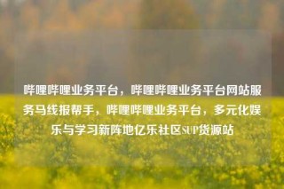 哔哩哔哩业务平台，哔哩哔哩业务平台网站服务马线报帮手，哔哩哔哩业务平台，多元化娱乐与学习新阵地亿乐社区SUP货源站