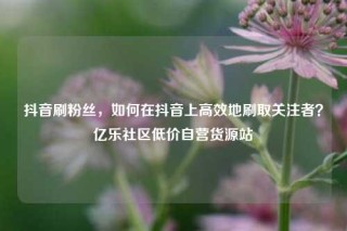 抖音刷粉丝，如何在抖音上高效地刷取关注者？亿乐社区低价自营货源站