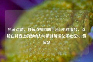 抖音点赞，抖音点赞自助平台24小时服务，点赞在抖音上的影响力与策略解读亿乐社区SUP货源站