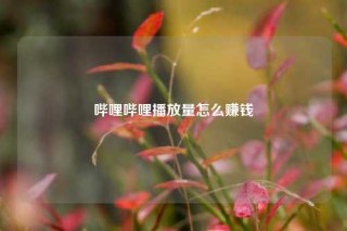 哔哩哔哩播放量怎么赚钱