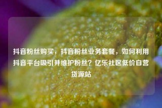 抖音粉丝购买，抖音粉丝业务套餐，如何利用抖音平台吸引并维护粉丝？亿乐社区低价自营货源站