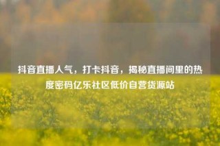抖音直播人气，打卡抖音，揭秘直播间里的热度密码亿乐社区低价自营货源站