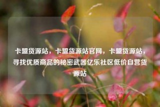 卡盟货源站，卡盟货源站官网，卡盟货源站，寻找优质商品的秘密武器亿乐社区低价自营货源站