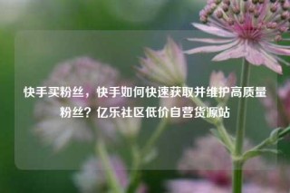 快手买粉丝，快手如何快速获取并维护高质量粉丝？亿乐社区低价自营货源站