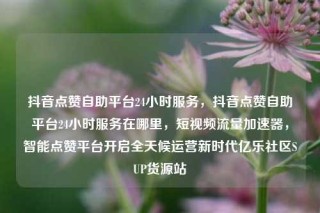 抖音点赞自助平台24小时服务，抖音点赞自助平台24小时服务在哪里，短视频流量加速器，智能点赞平台开启全天候运营新时代亿乐社区SUP货源站