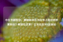 小红书刷粉丝，揭秘如何在小红书上高效地积累粉丝？秘密在这里！亿乐社区SUP货源站