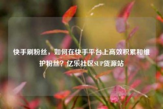 快手刷粉丝，如何在快手平台上高效积累和维护粉丝？亿乐社区SUP货源站