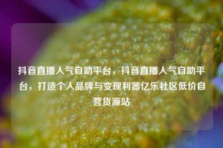 抖音直播人气自助平台，抖音直播人气自助平台，打造个人品牌与变现利器亿乐社区低价自营货源站